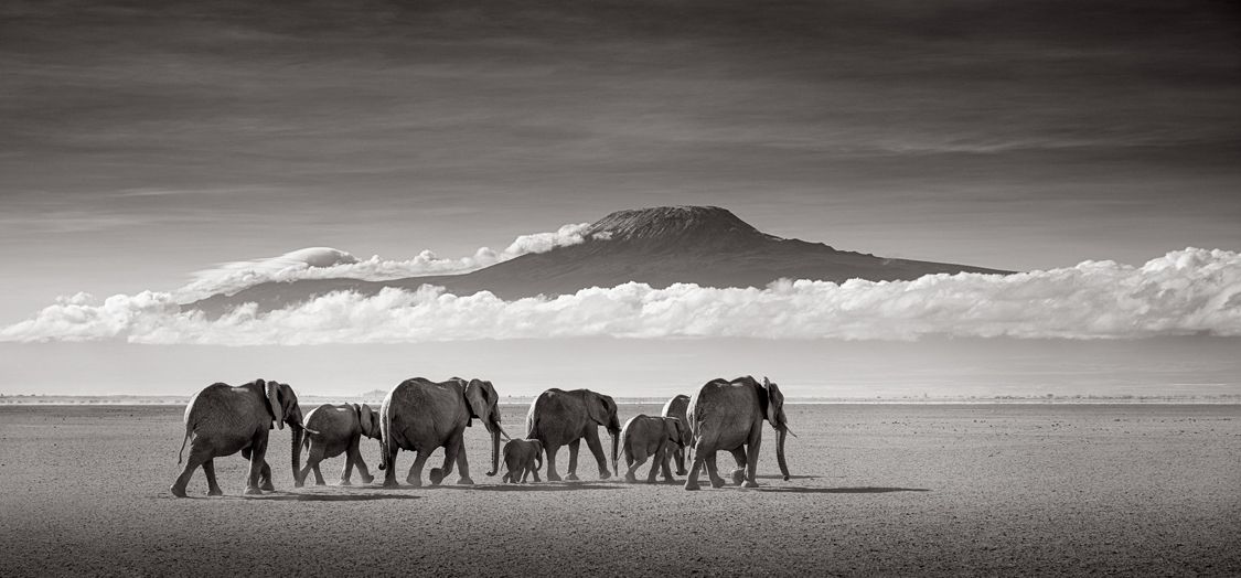 The Story Behind “Journey to Kilimanjaro”